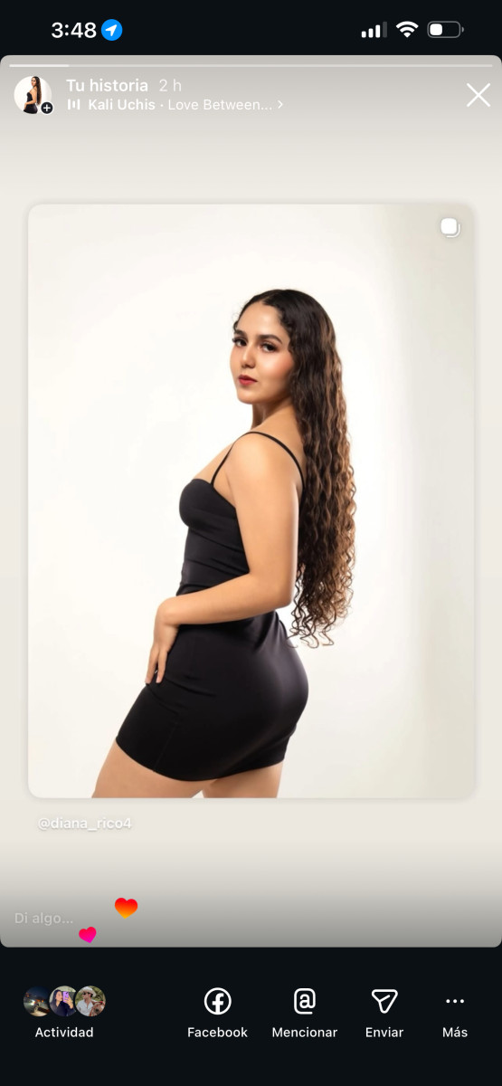 Retrato profesional de Diana Rico